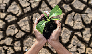 Ação contra a mudança global do clima