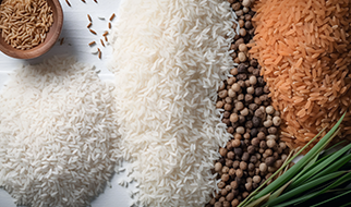 Fome zero e agricultura sustentável