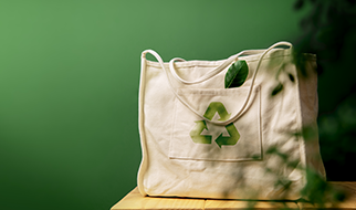 Consumo e produção responsáveis